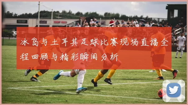 冰岛与土耳其足球比赛现场直播全程回顾与精彩瞬间分析