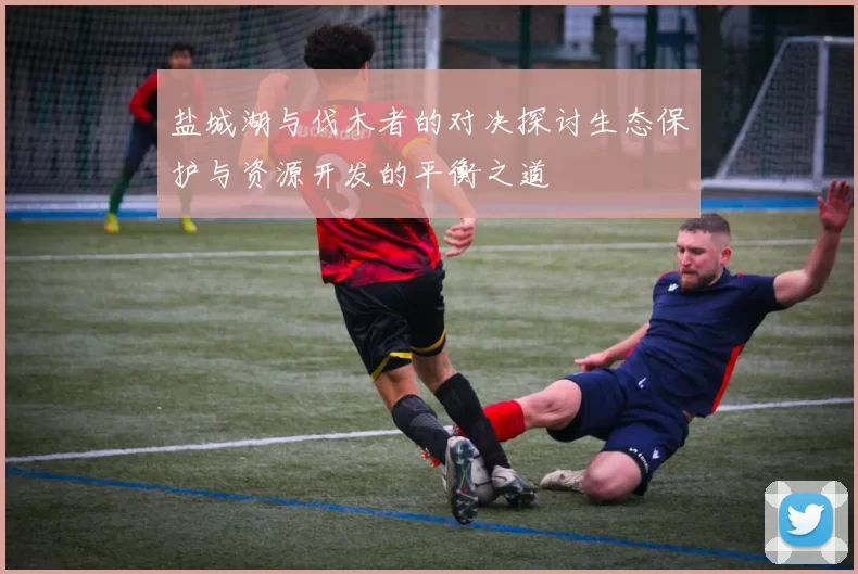 盐城湖与伐木者的对决探讨生态保护与资源开发的平衡之道