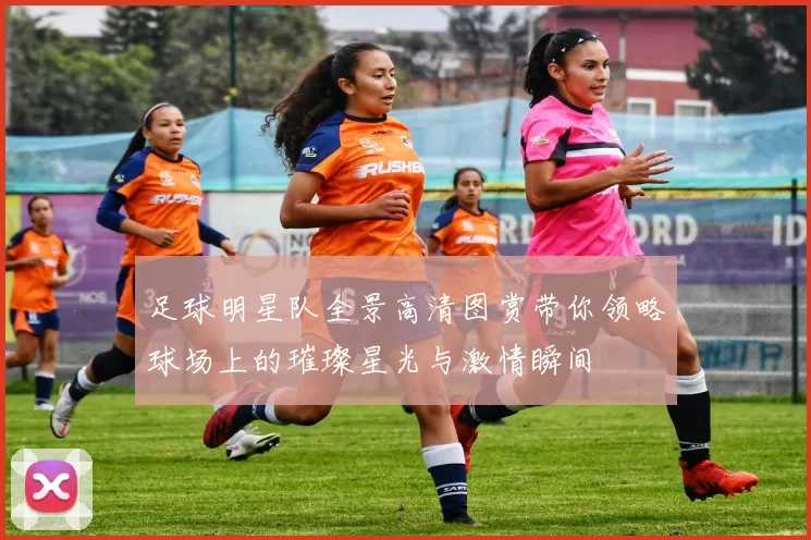 足球明星队全景高清图赏带你领略球场上的璀璨星光与激情瞬间