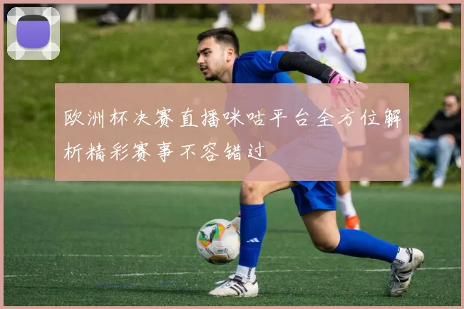 欧洲杯决赛直播咪咕平台全方位解析精彩赛事不容错过